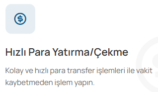 trade global invest ödeme yöntemleri
